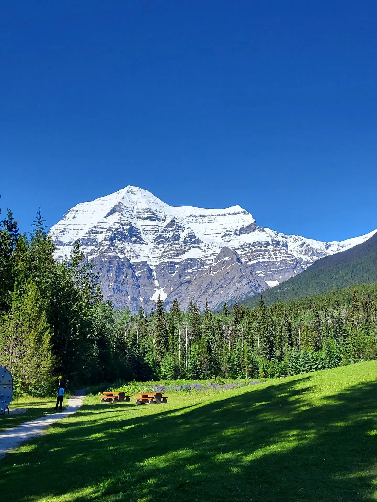 Mt Robson